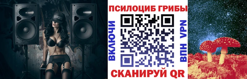 Псилоцибиновые грибы Psilocybine cubensis  Купить закладки  Тимашёвск 